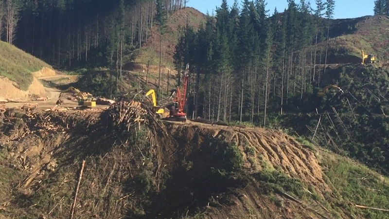 Endurance logging at work harvesting using the fully mechanised tractionline system. 